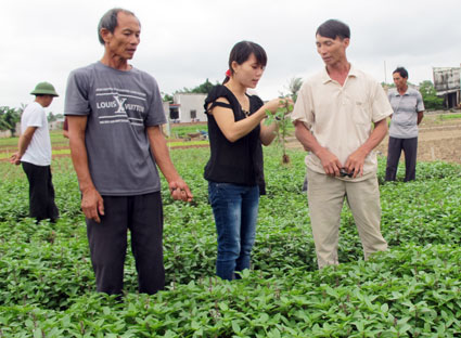 Bà con nông dân xã Phước Hưng (huyện Long Điền) được hướng dẫn nhận diện một số loại sâu bệnh trên rau ăn lá.